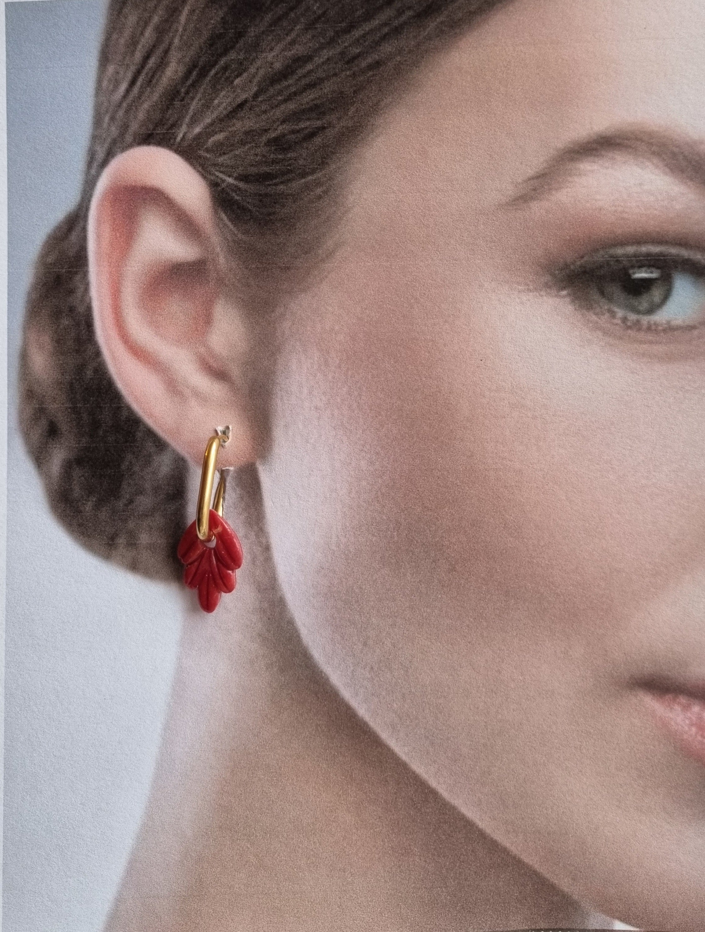 Corels Sulio moyennes