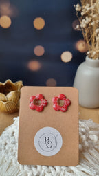 Corels Renaude moyennes